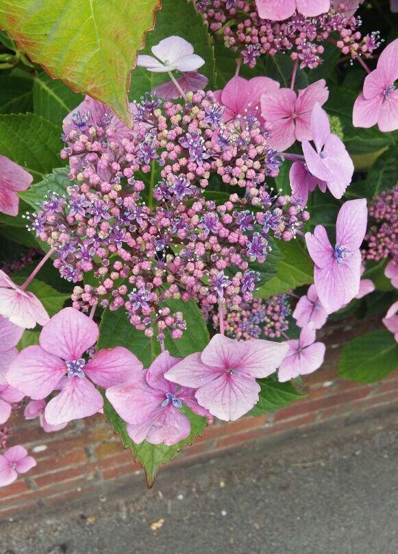 University of Agriculture-Faisalabad必去景点