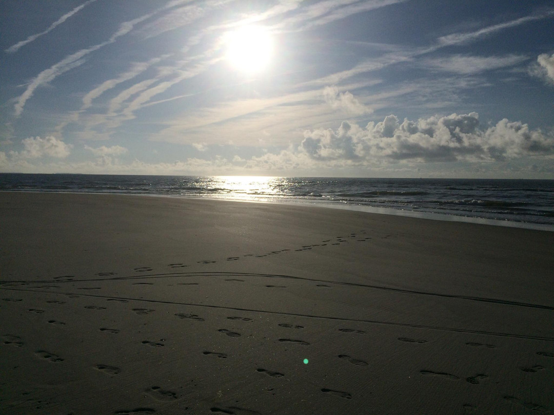 Folly Field Beach Park-希尔顿头岛必去景点