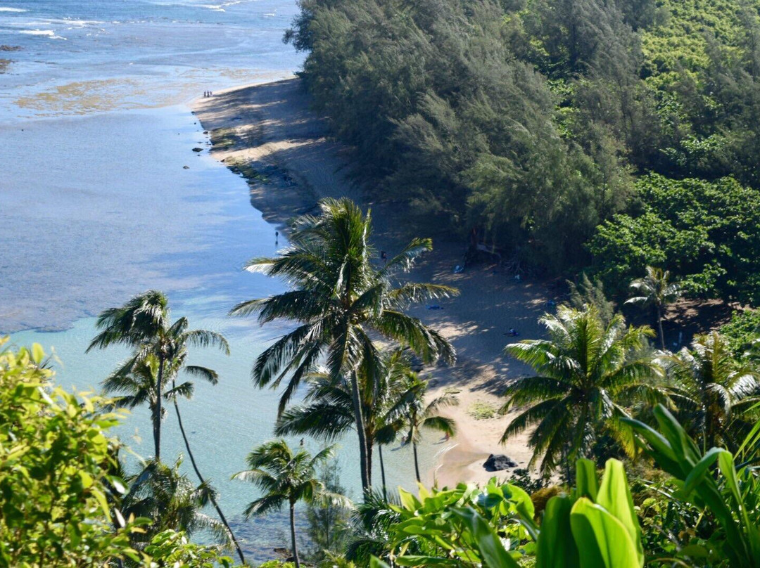 可可海滩-哈耶纳必去景点
