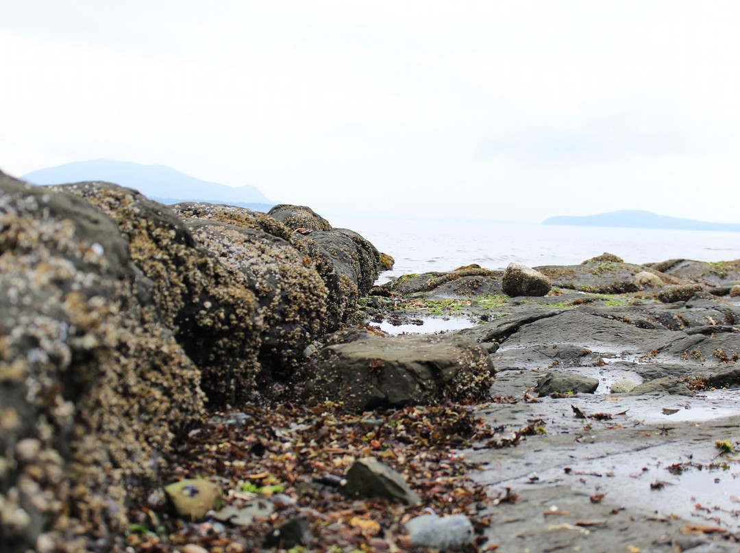 Sucia Island State Park景点图片
