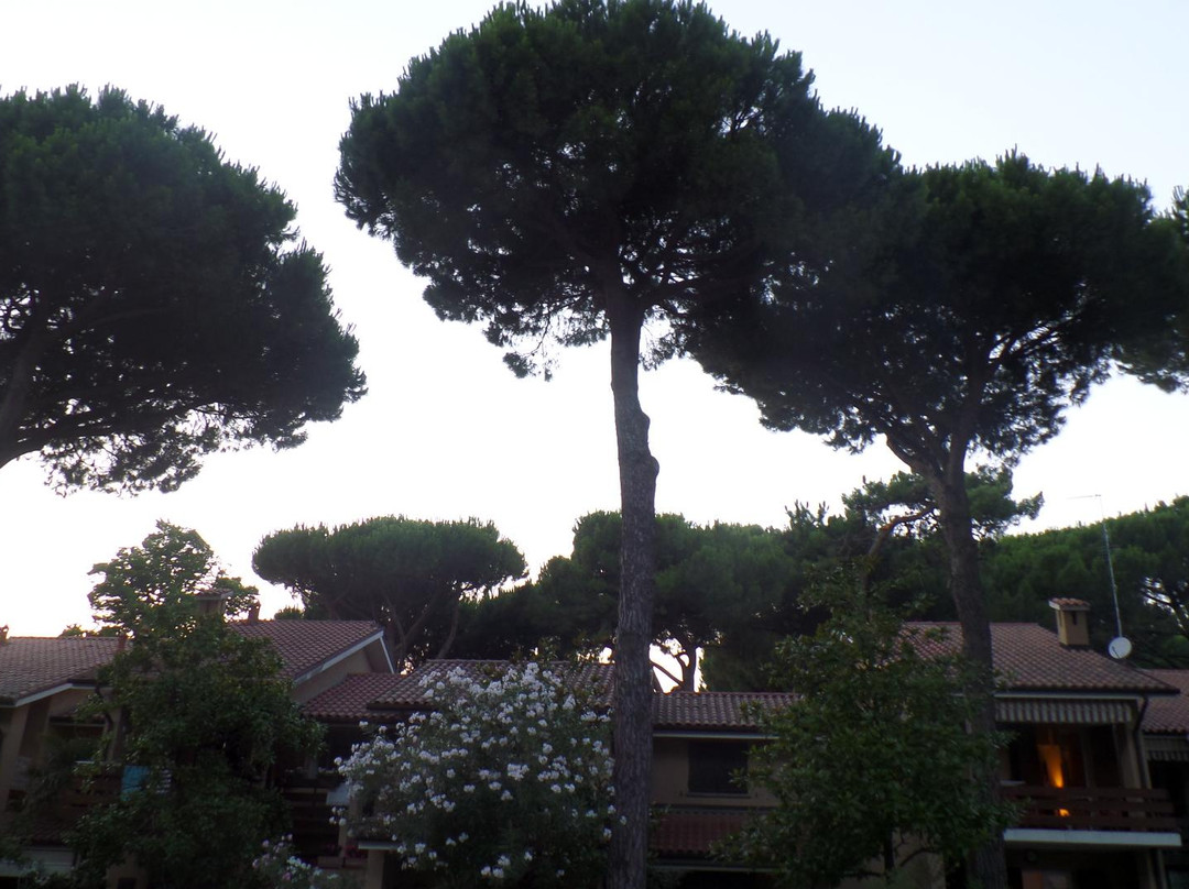 Casa Museo Remo Brindisi-Lido di Spina必去景点