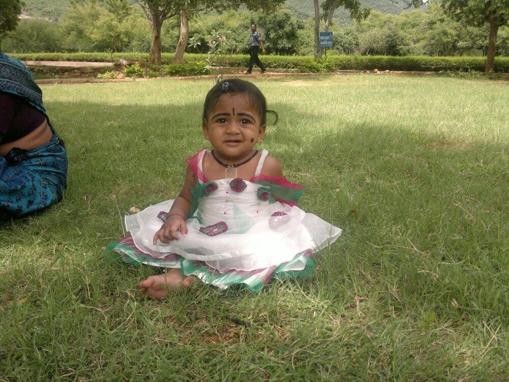 Sri Venkateswara Wildlife Sanctuary景点图片