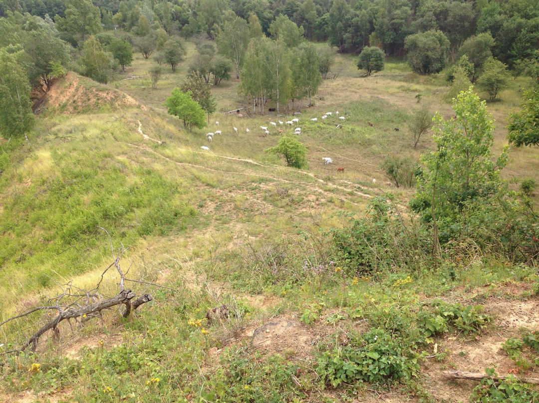Weilbacher Kiesgruben-Florsheim必去景点