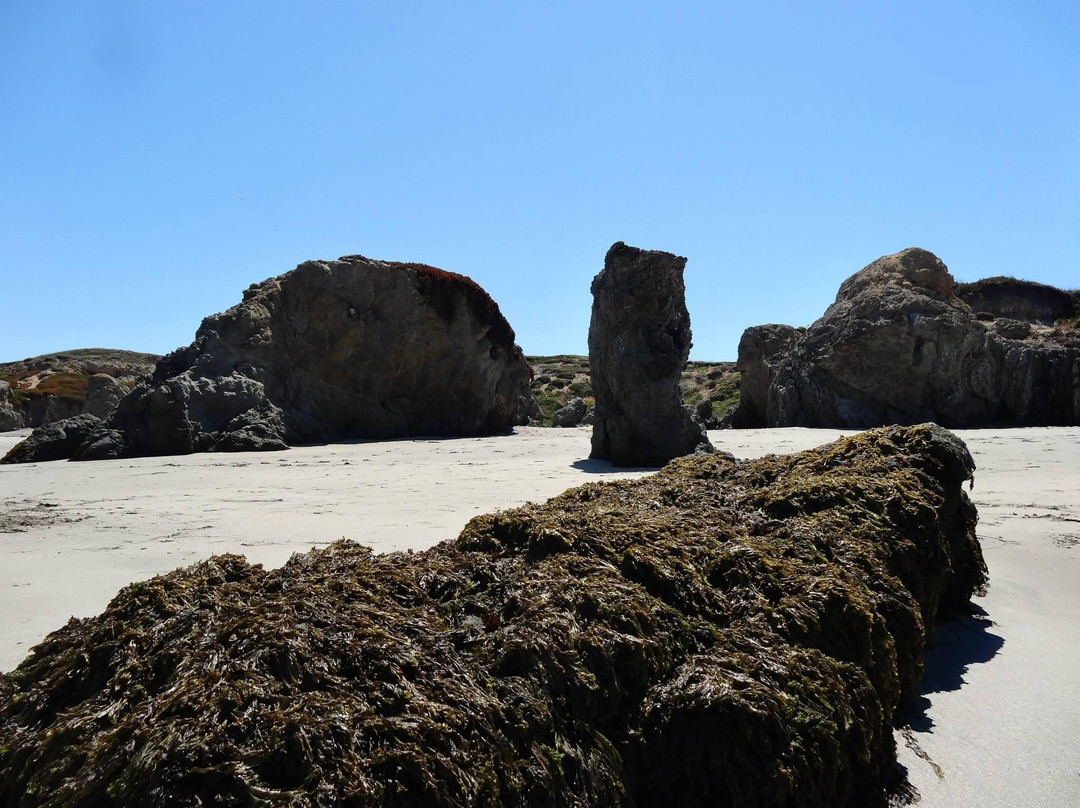 Noyo Headlands Park景点图片