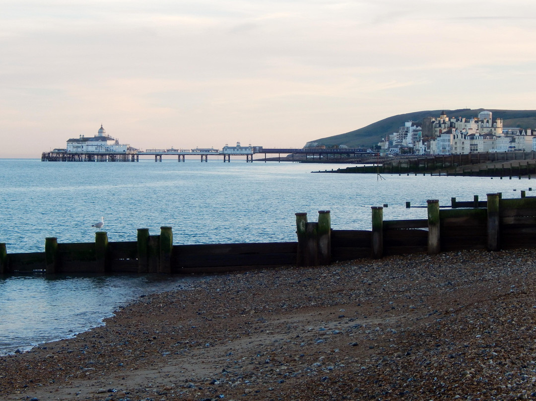 Garfield Guest House主图