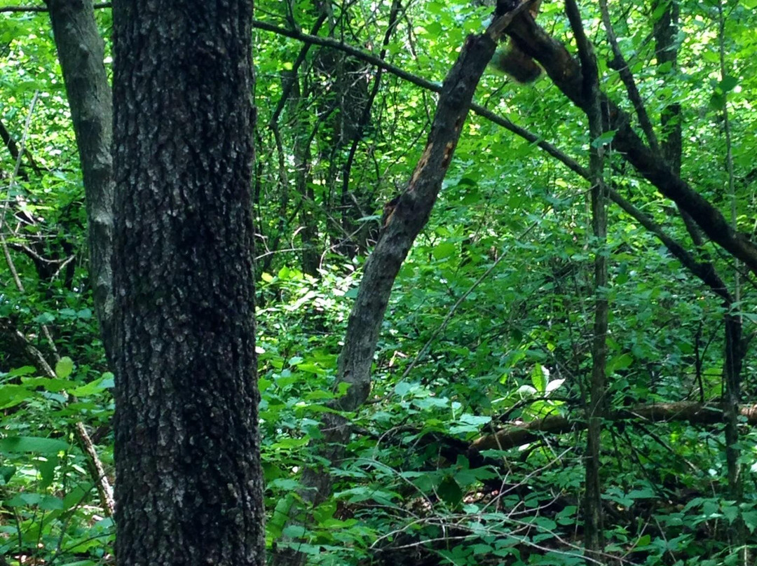 Ray Harral Nature Park-Broken Arrow必去景点