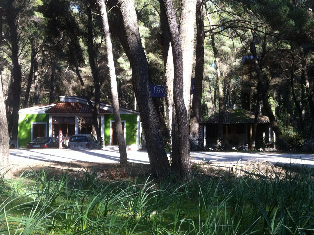 Divjaka Resort