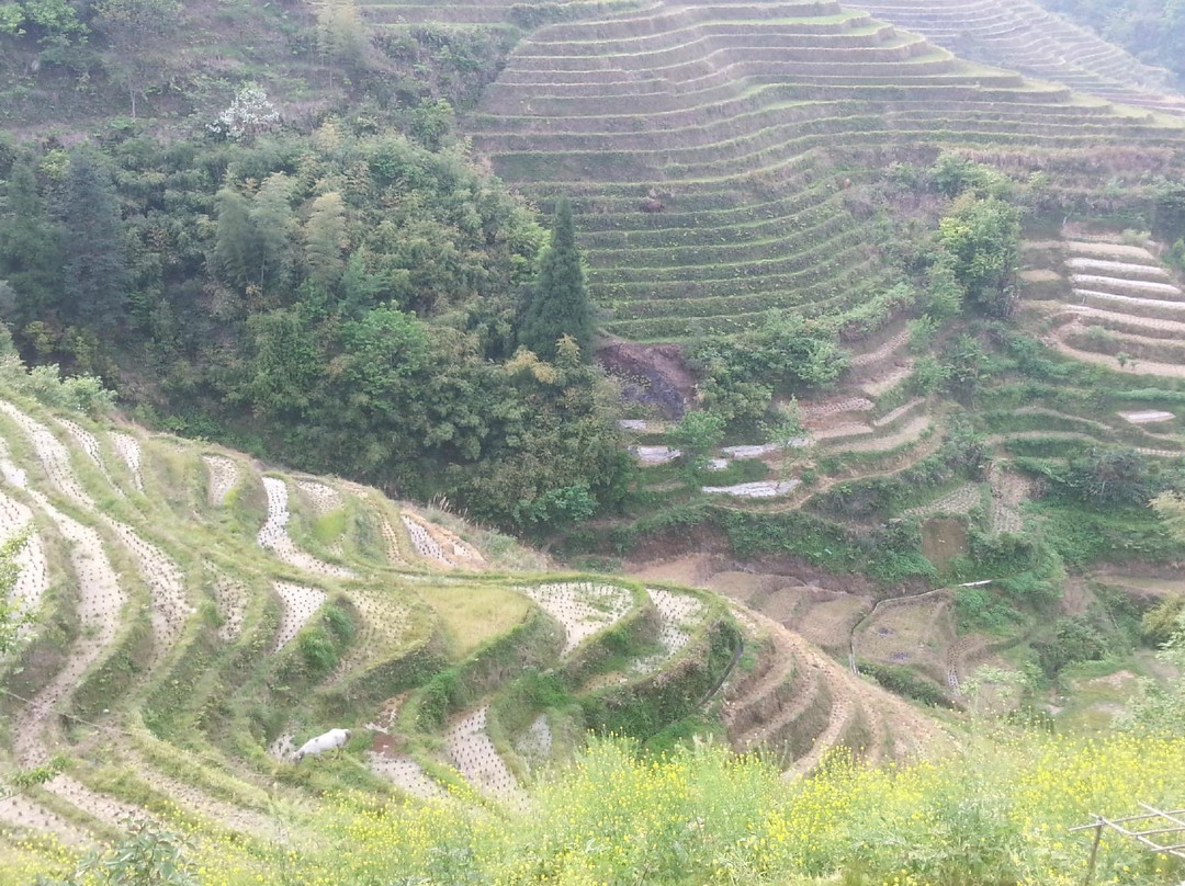 龙胜金坑大寨国际青年旅舍主图