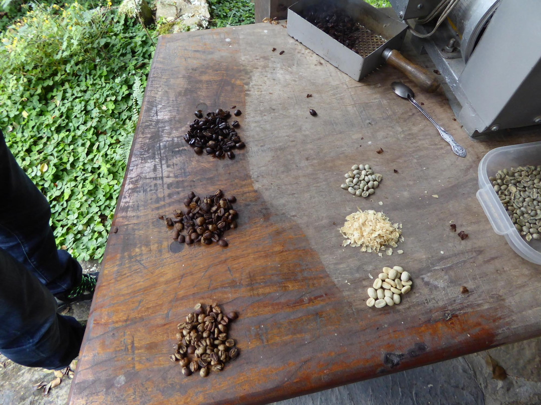 Café Munaipata-Coroico必去景点