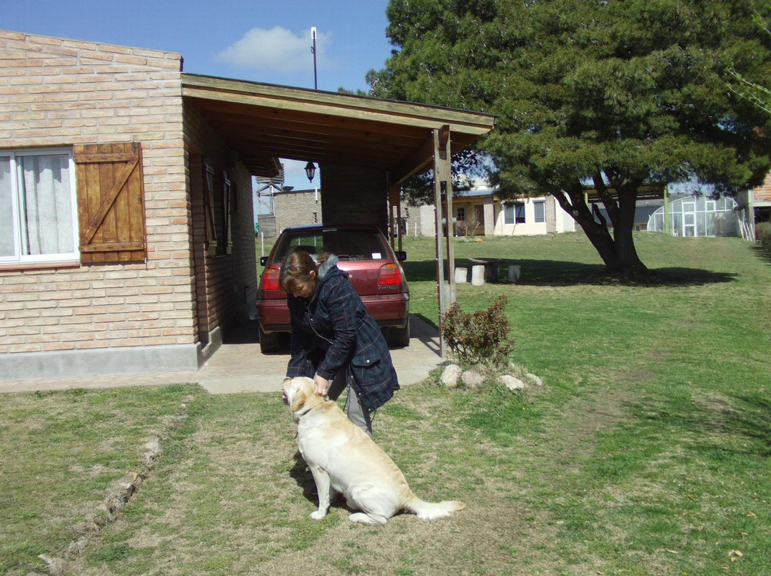 Complejo Buenavista主图