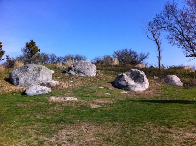 Meigs Point Nature Center-麦迪逊必去景点