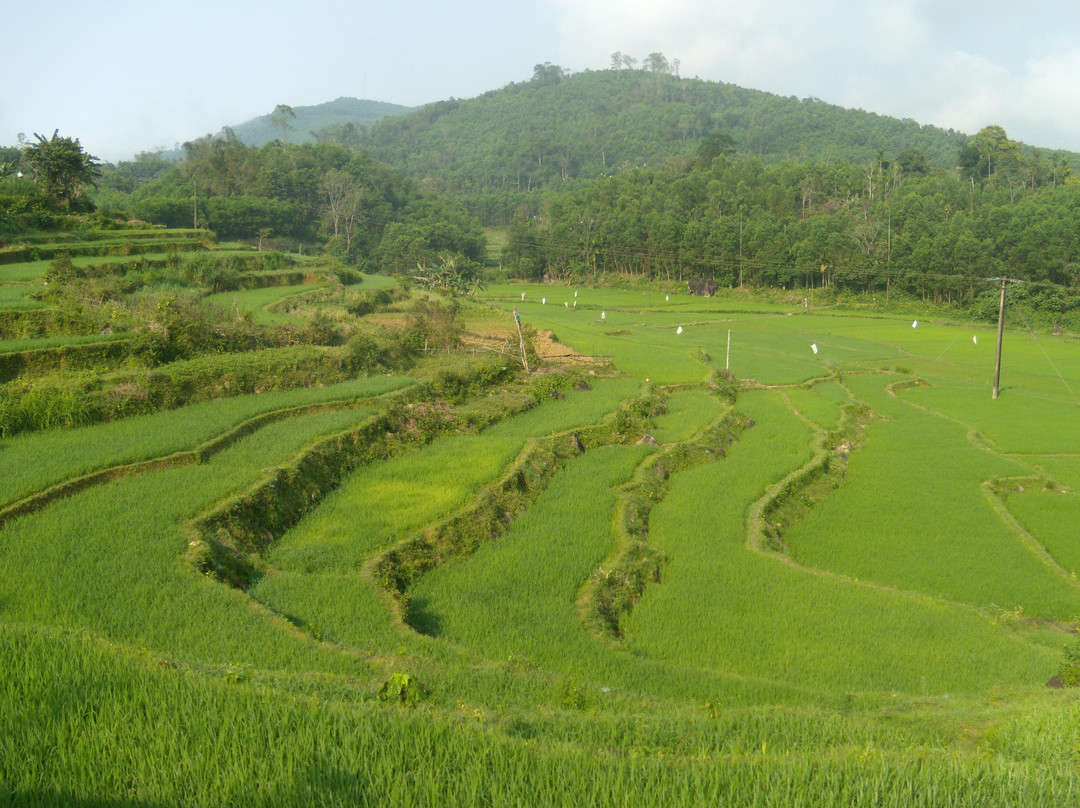 DakViet Travel - Day Tours-托伯莫里必去景点