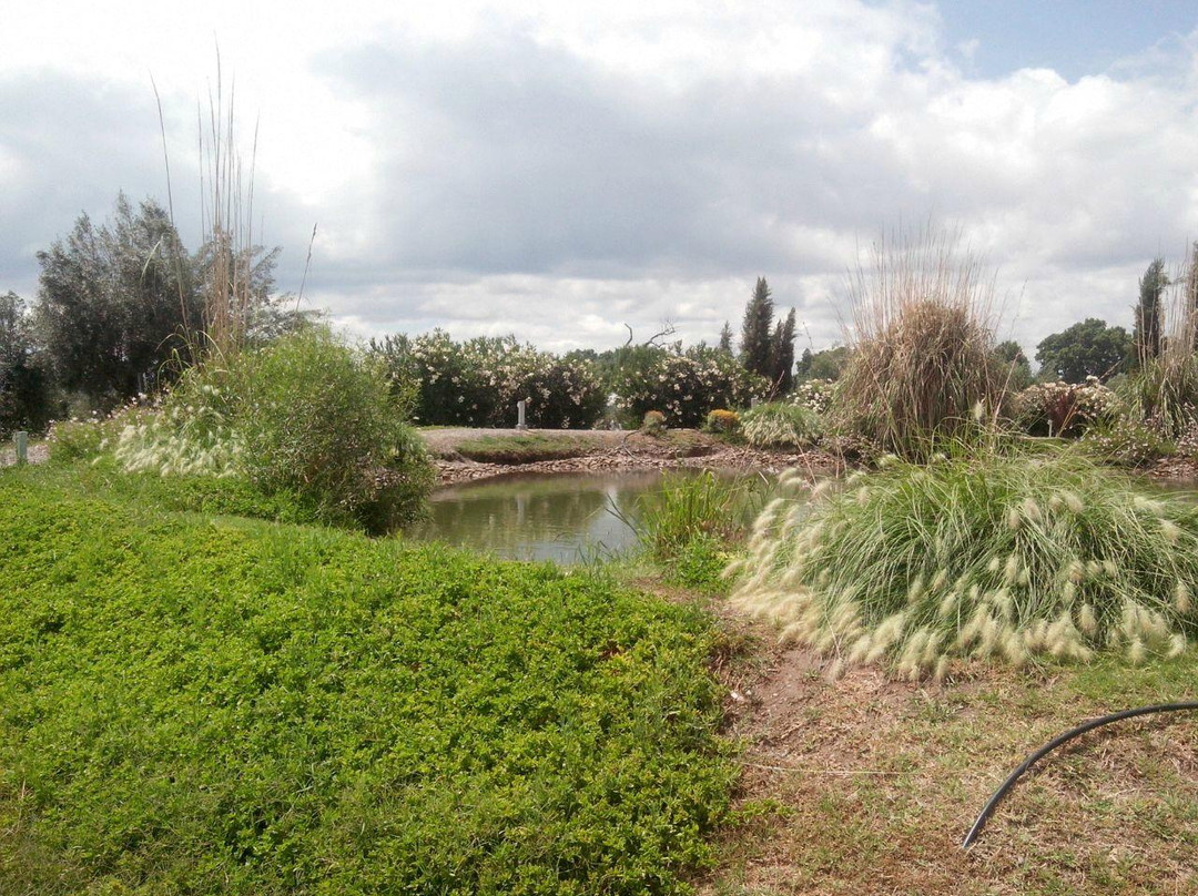 Mendoza Viagem-门多萨必去景点