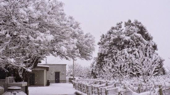 Bodega De Angeles Viña 1924-路冉得库约必去景点