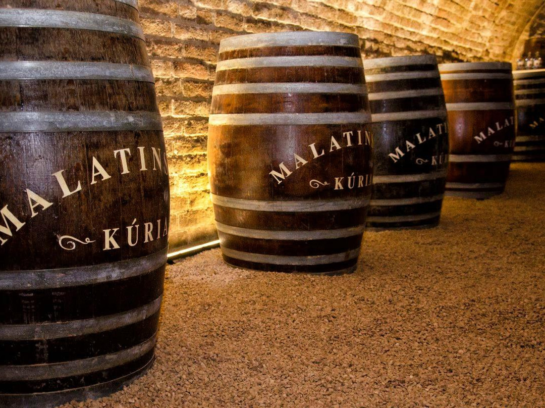 Malatinszky Kuria Organic Wine Estate-Siklos必去景点