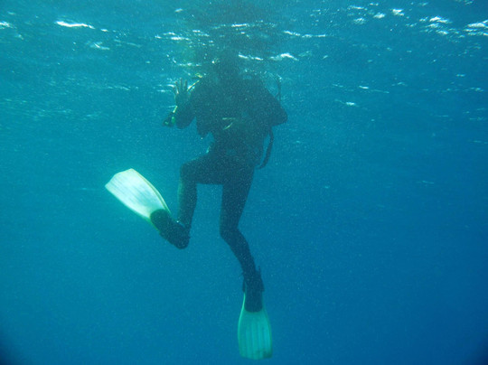 Scuba Diving Black Pearl-耶尔萨必去景点