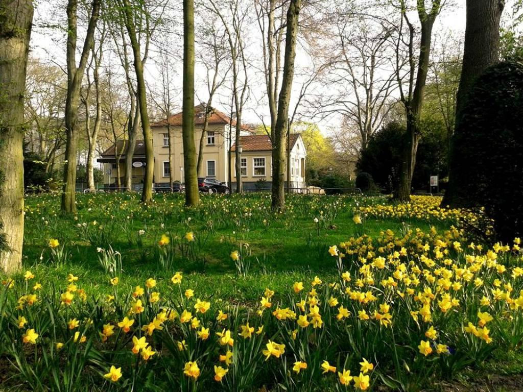 Stadtpark Uerdingen景点图片