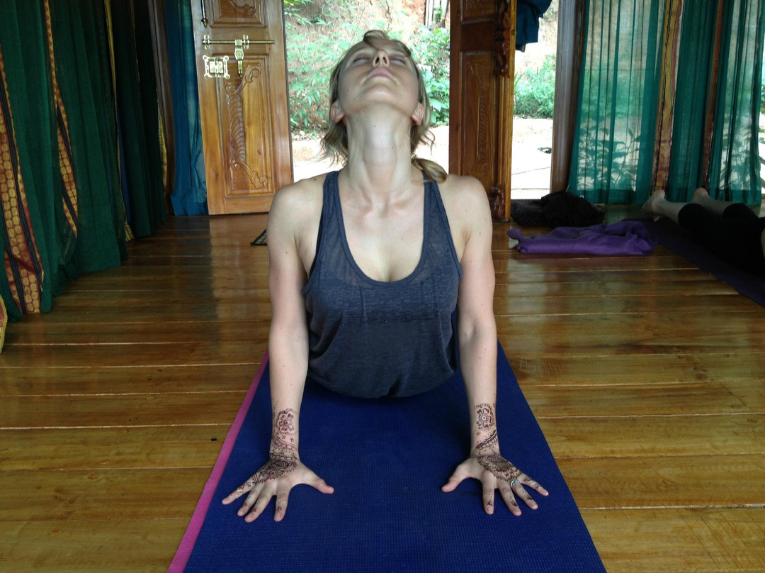 Aarsha Yoga Vidya Peetham - Day Classes景点图片
