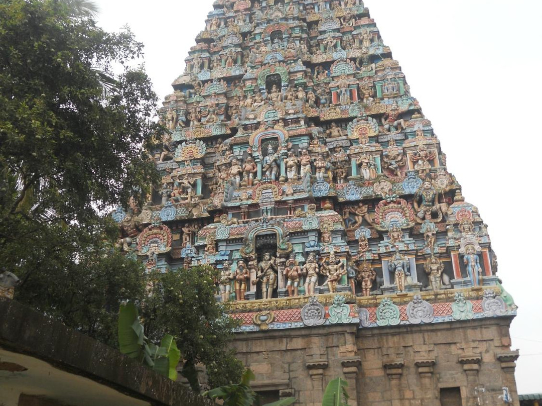 Mayuranathaswamy Temple景点图片