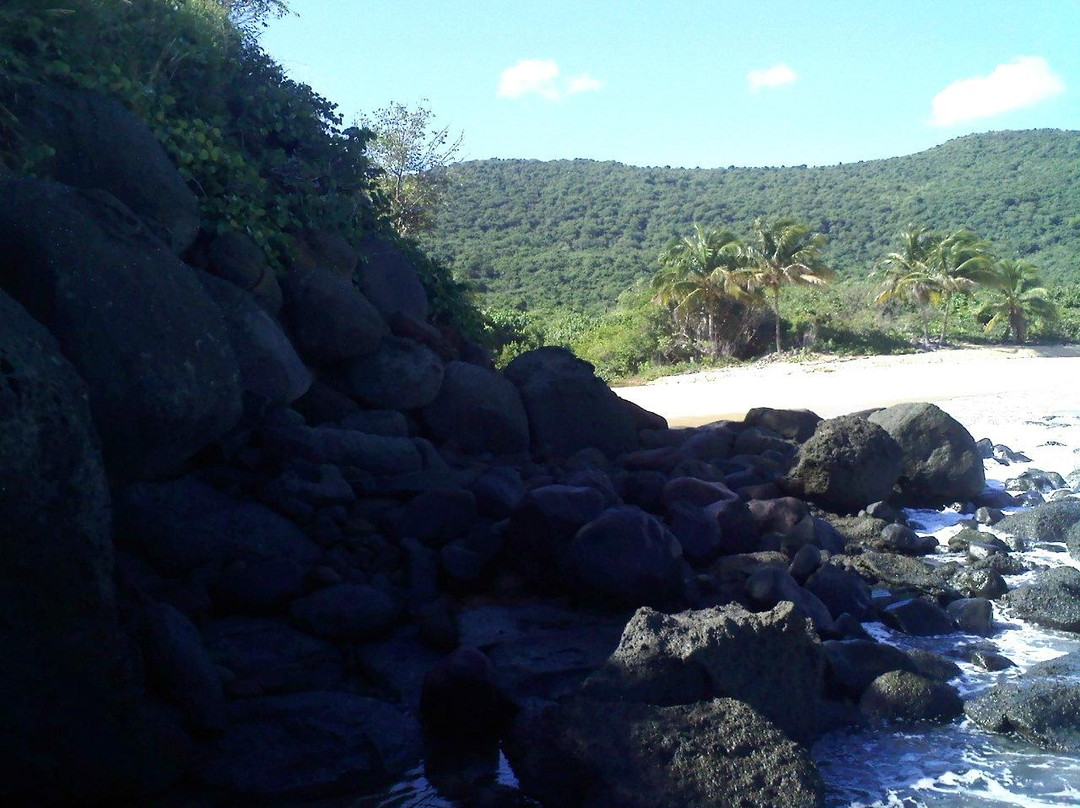 Brava Beach-库莱布拉岛必去景点