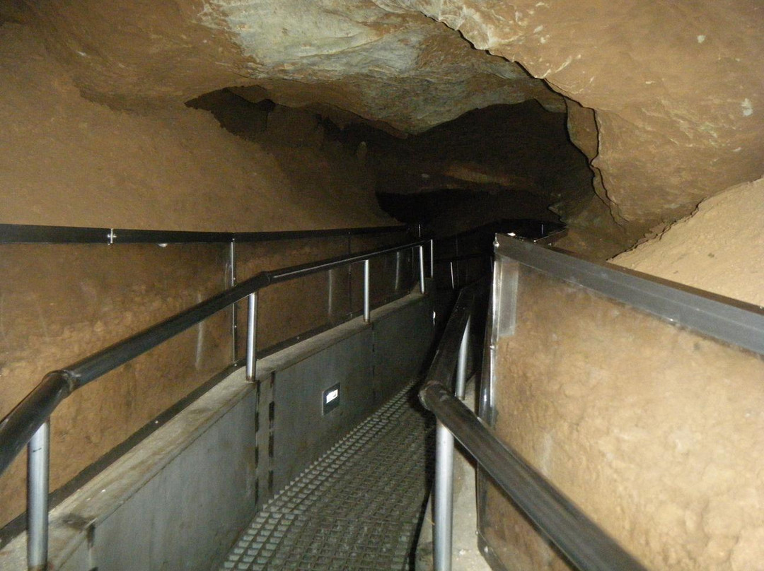 Cheongok Golden Bat Cave-东海市必去景点
