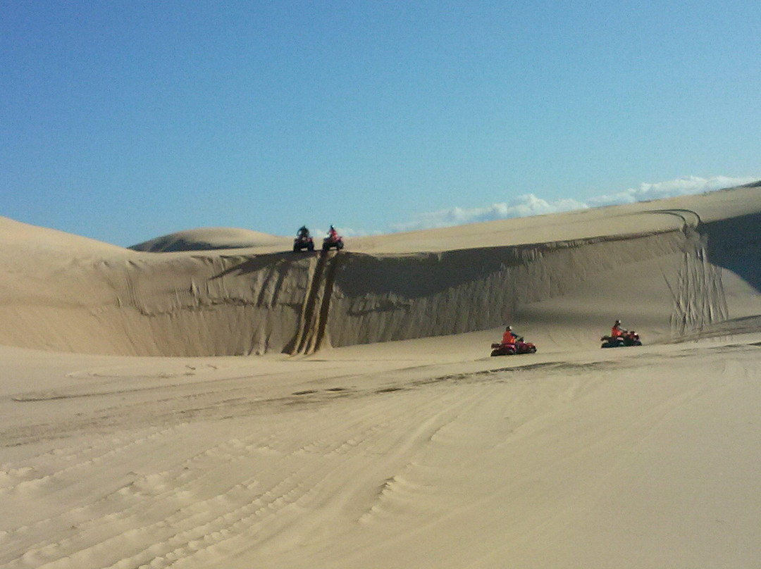 Sand Dune Adventures - Tours景点图片