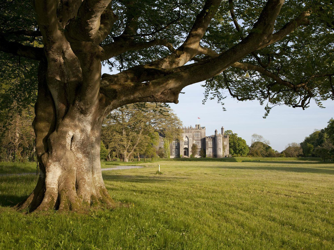 Birr Castle Demesne-Birr必去景点
