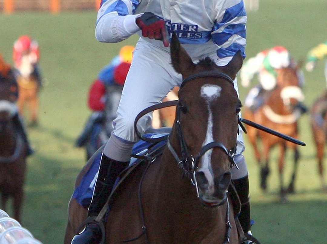 Kelso Races-凯尔索必去景点