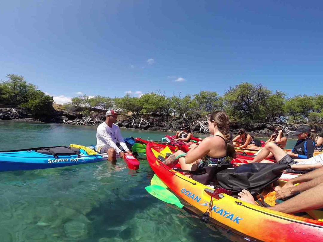 Hawai'i Surf and Kayak-普阿克必去景点