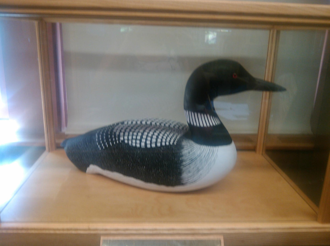 The Loon Center景点图片
