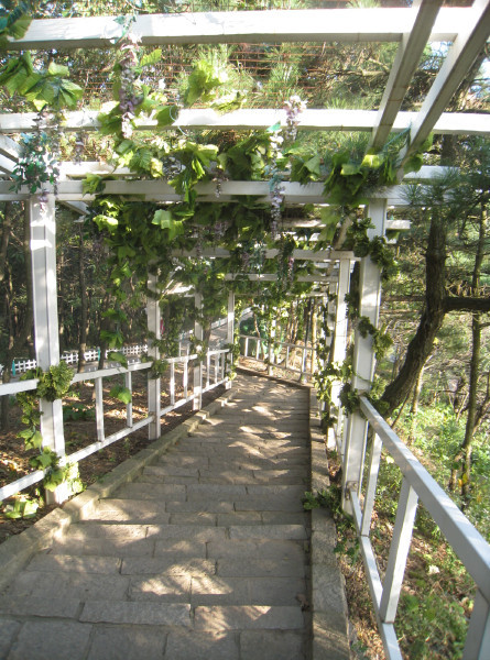Gallery 4