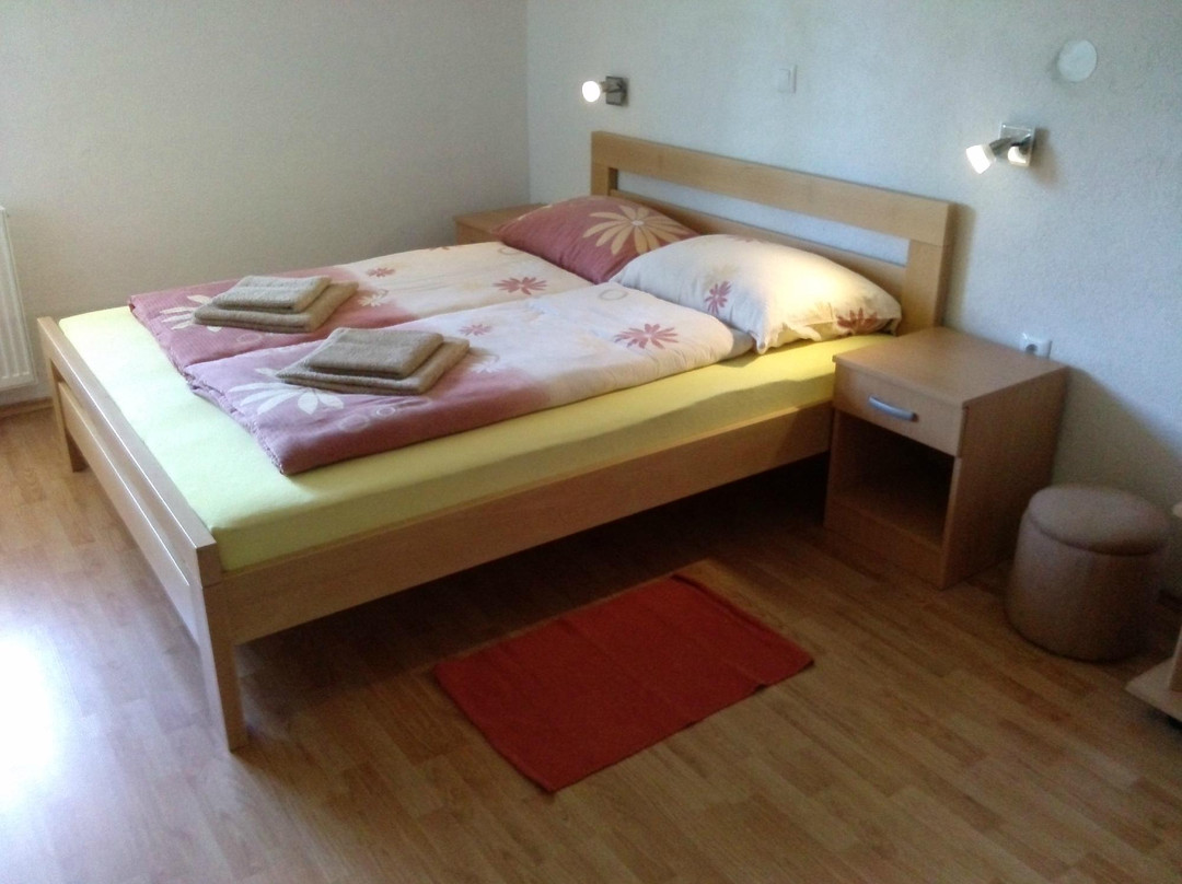 Guesthouse Nikolina主图