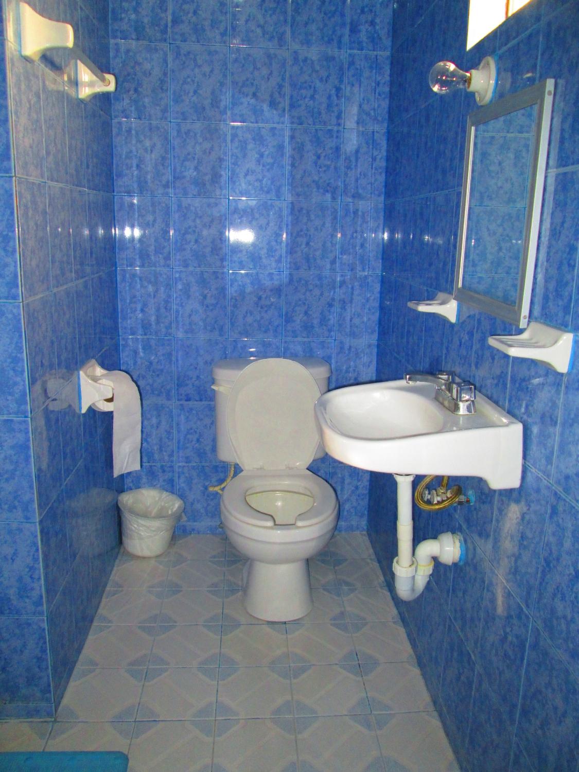 Hotel La Ribera-浴室