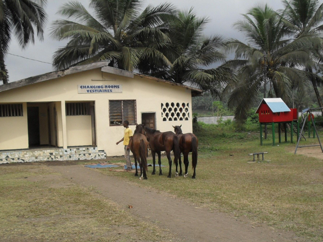 Down Beach-林贝必去景点