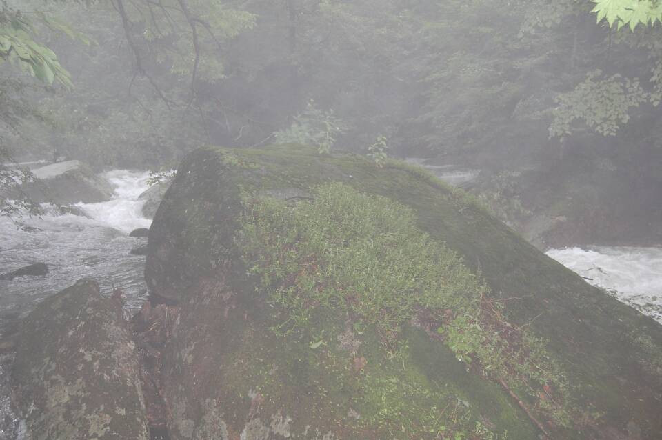 努鲁儿虎山自然保护区景点图片