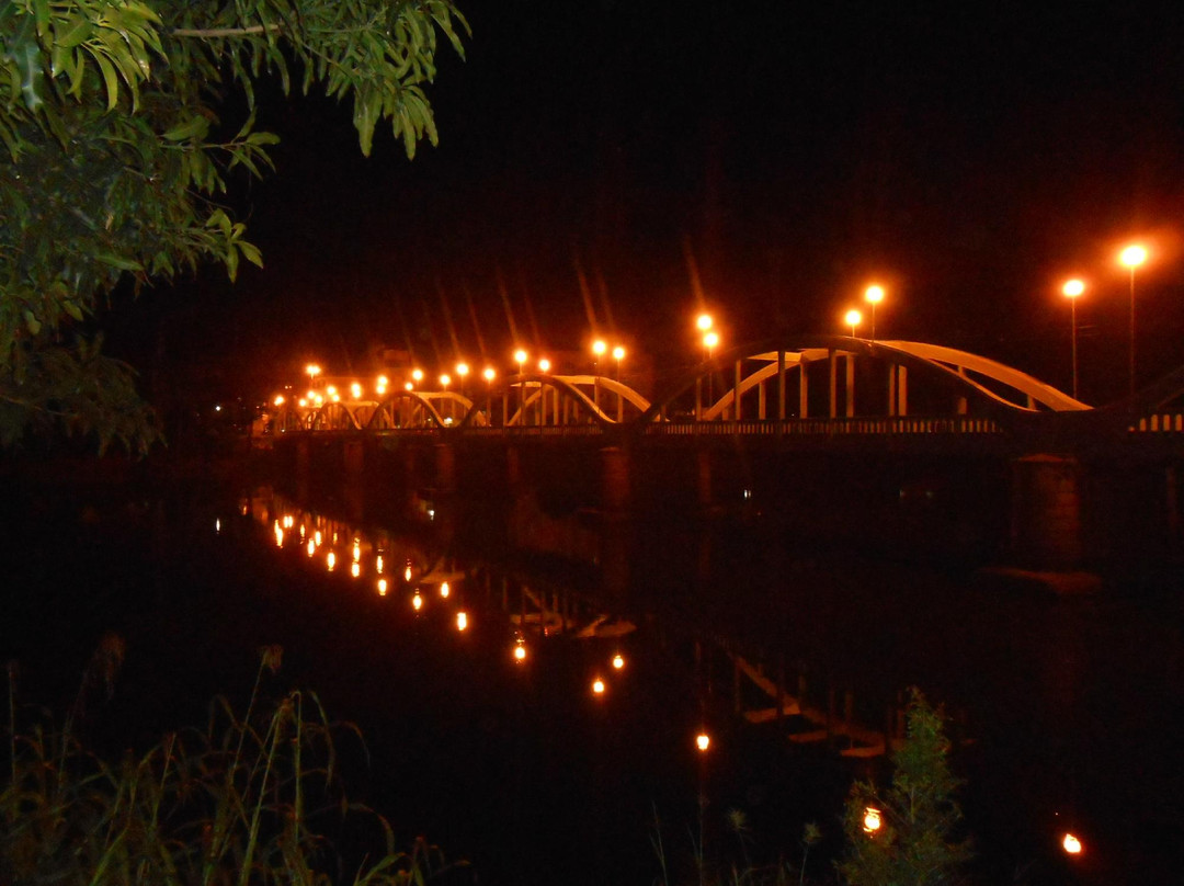 Ponte Raul Veiga景点图片