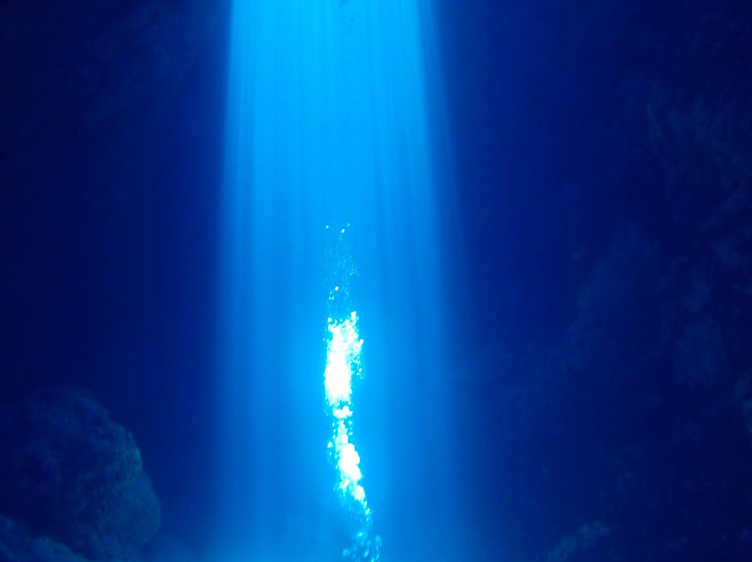 Blue Palms - Day Tours-Rota必去景点