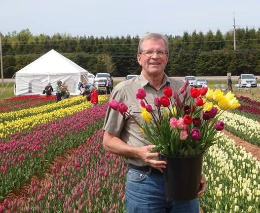 Points East Coastal Drive You Pick Tulips-Stratford必去景点