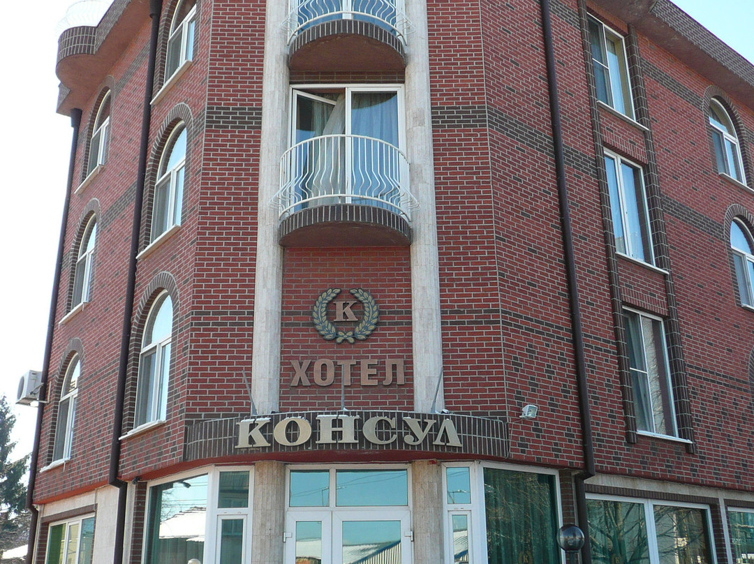 Airport Hotel Consul主图