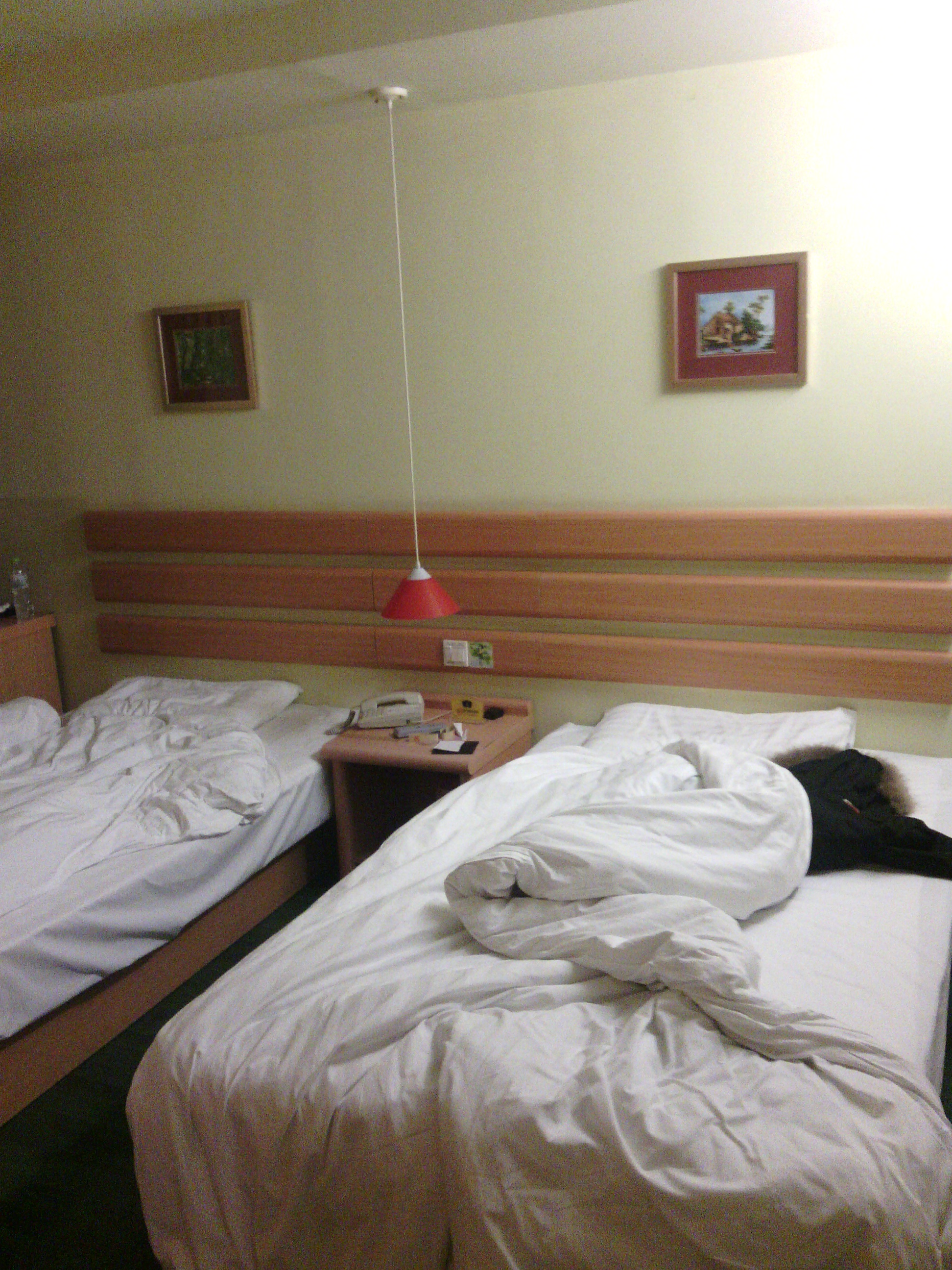 北京如家牡丹园店-客卧