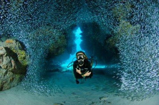 Just Dive-大开曼岛必去景点