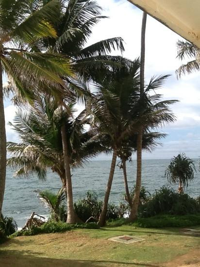 芒特拉维尼亚-科伦坡必去景点