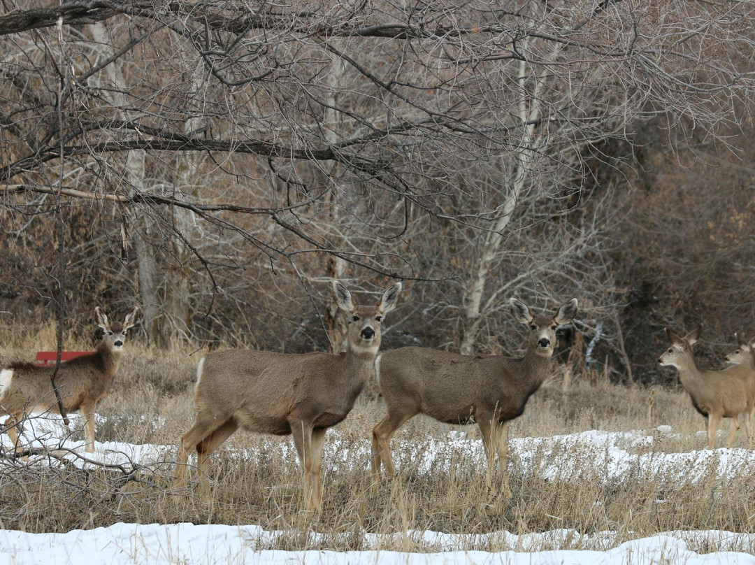 Ogden Nature Center-奥格登必去景点