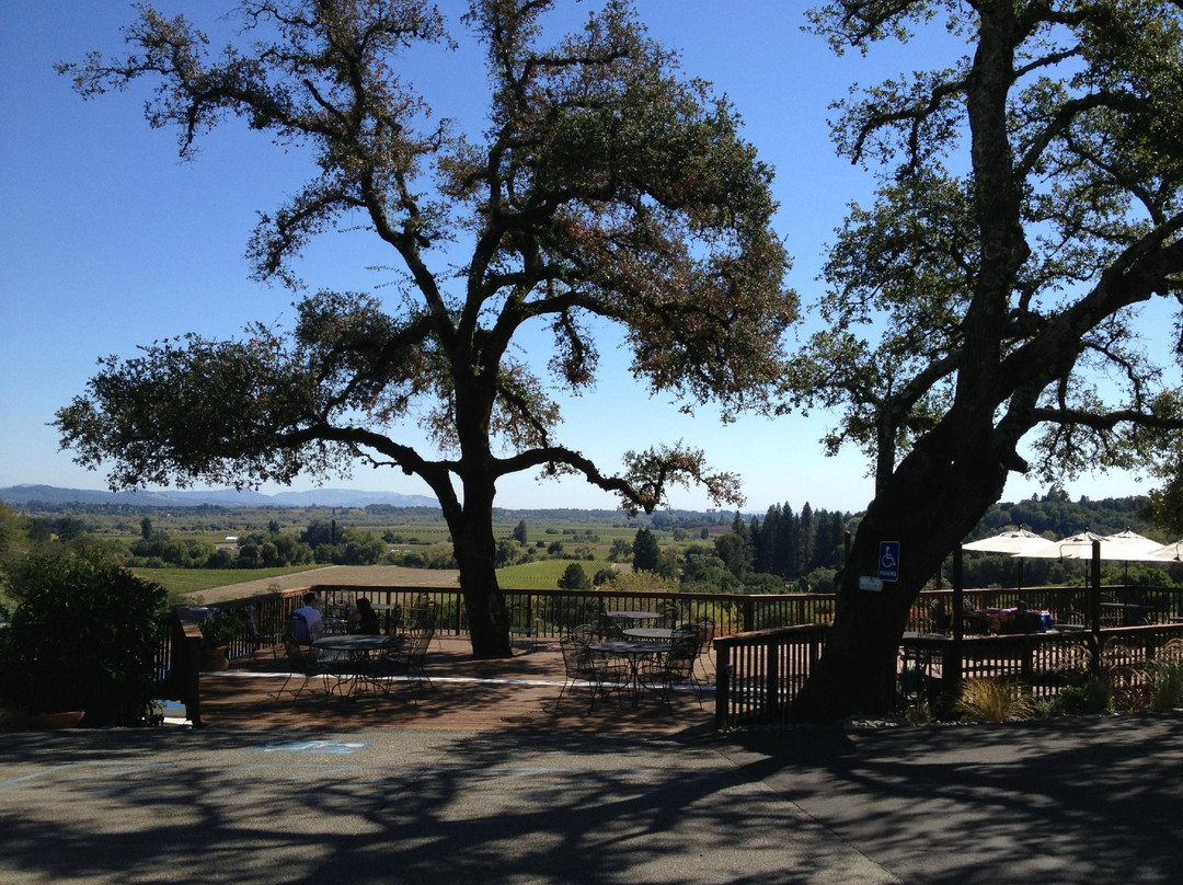 Overshine Wine Co.-希尔兹堡必去景点