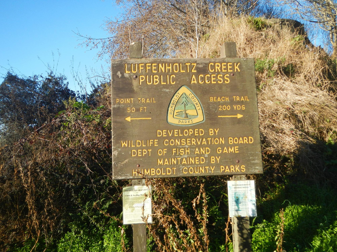 Luffenholtz Beach County Park-Westhaven-Moonstone必去景点