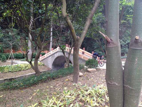 火炉山森林公园-广州市必去景点