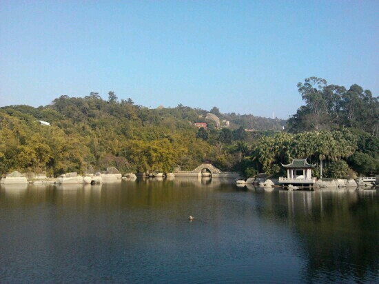 厦门园林植物园景点图片