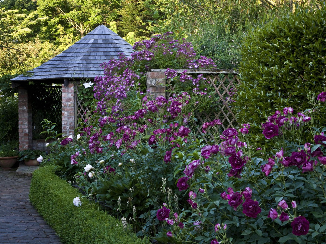 Frensham Gardens景点图片