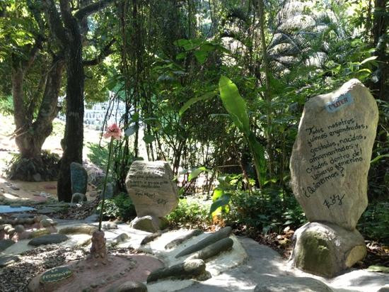 Museo de Las Piedras景点图片