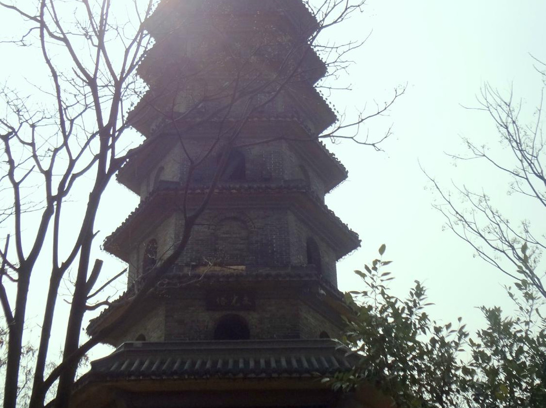 蟠龙山公园-柳州市必去景点